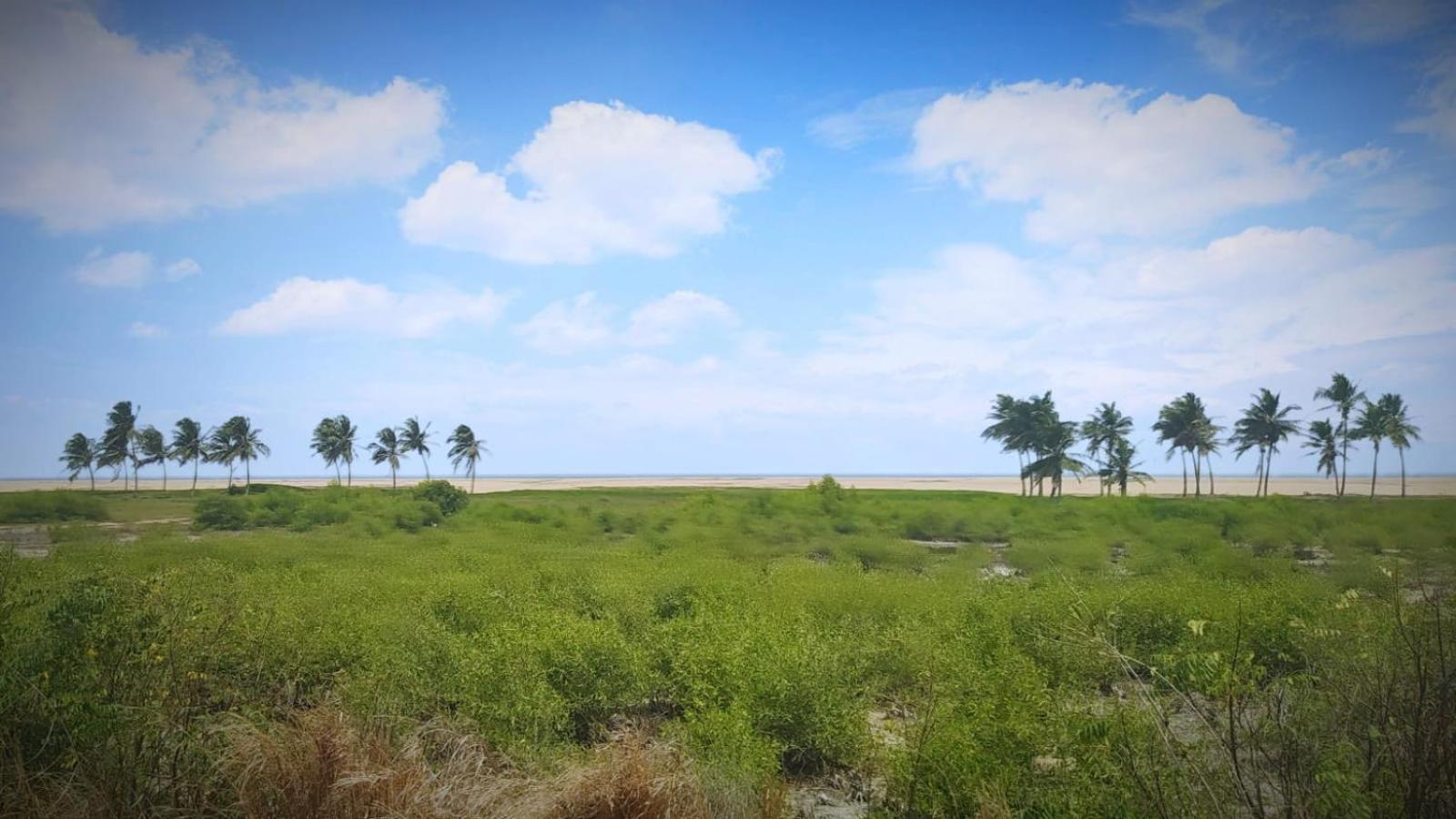 A&Y Wild Camp Ghana Keta Exterior photo