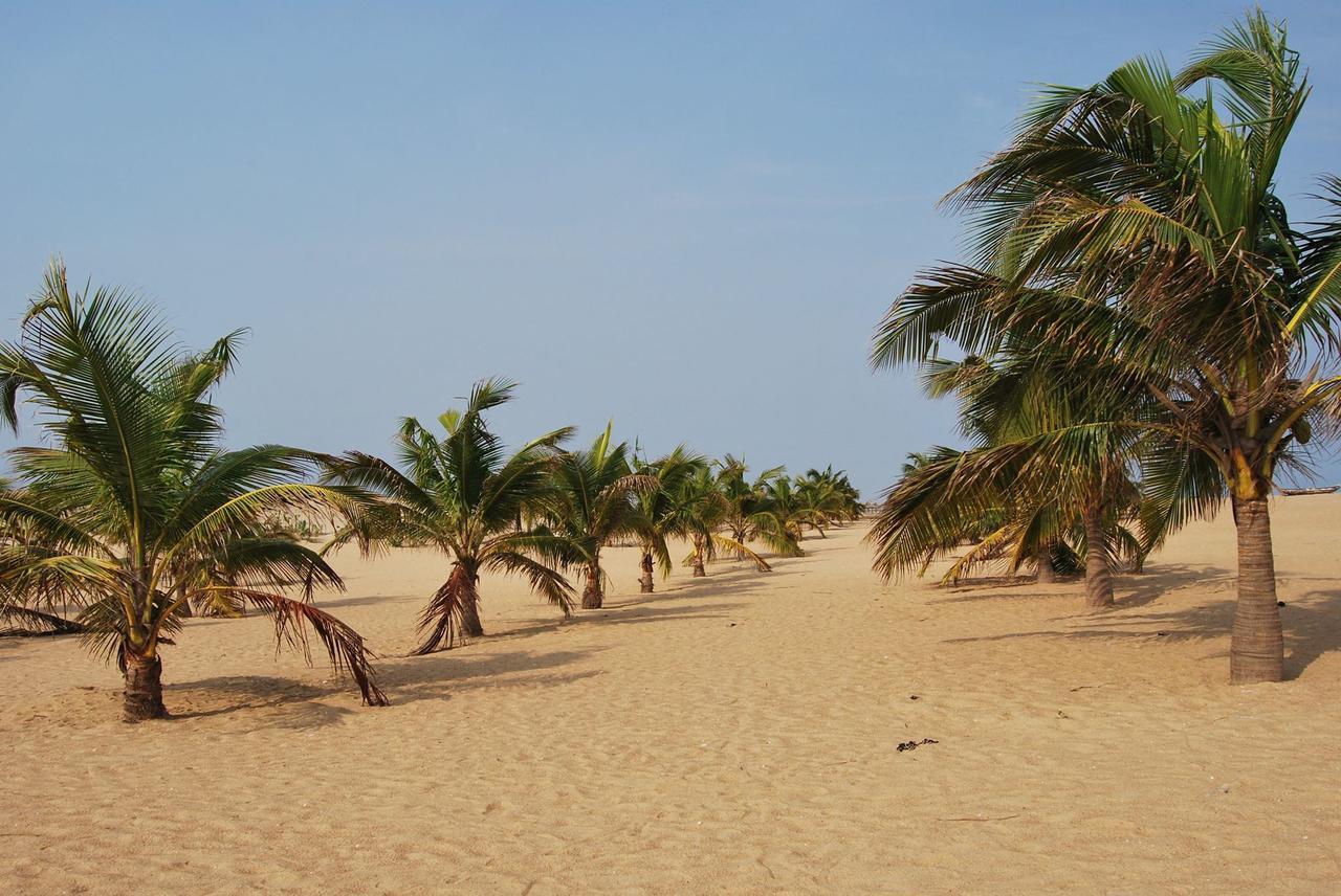 A&Y Wild Camp Ghana Keta Exterior photo